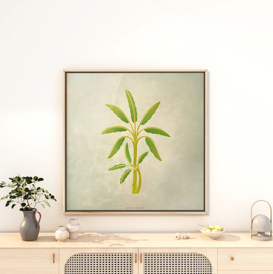 Palm Tree